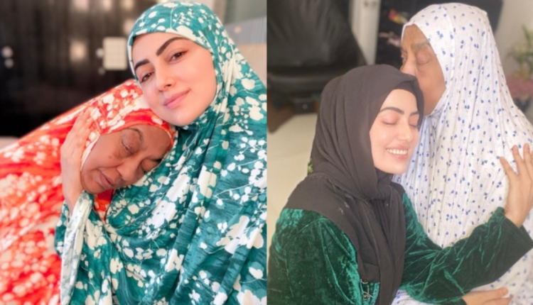 sana khan mother disease sana khan father sana khan husband sana khan age sana khan movies