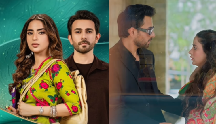 Ali Ansari and Saboor Ali